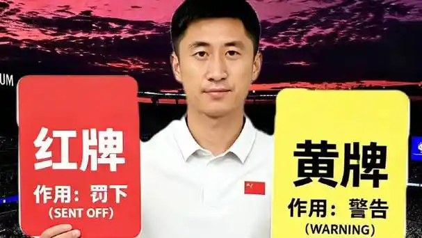 中国裁判闪耀国际赛场，三大球之外这些项目也迎来高光时刻